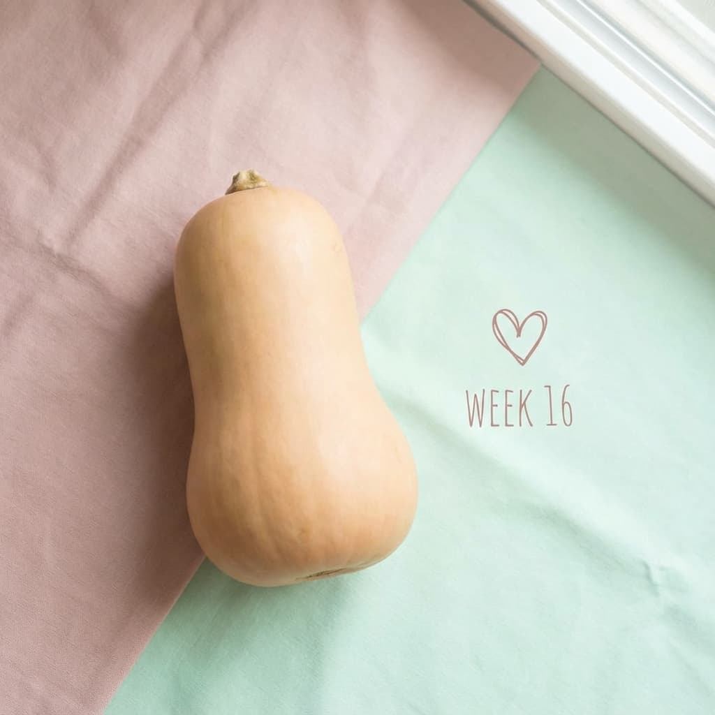 Grandezza feto settimana 32: Zucca Violina