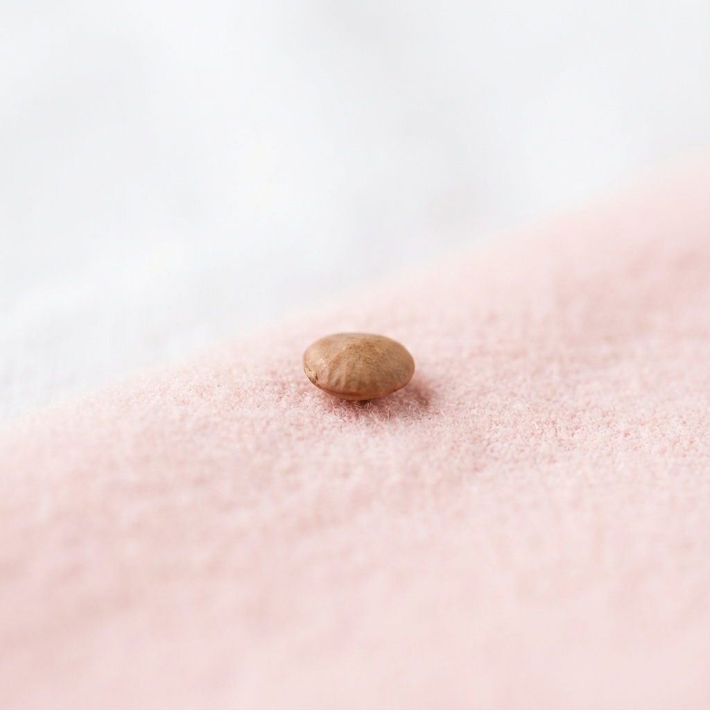 Dimensioni feto 6 settimane lenticchia